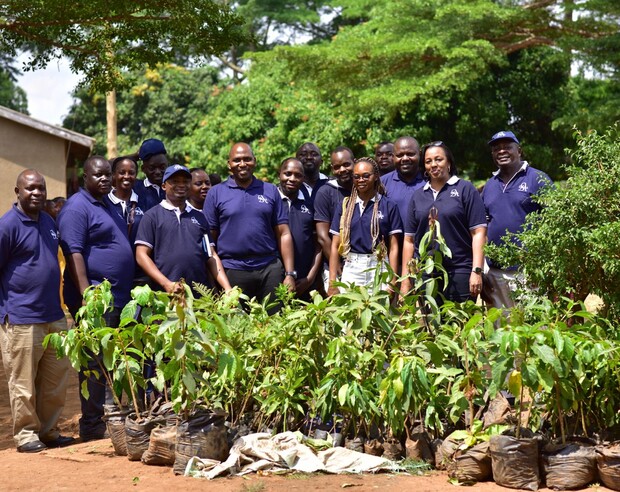 SICPA_Uganda_Trees